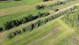 A work day in the Danube valley: how 22 hectares of peat soil become habitat again