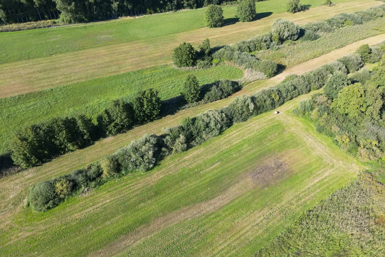A work day in the Danube valley: how 22 hectares of peat soil become habitat again