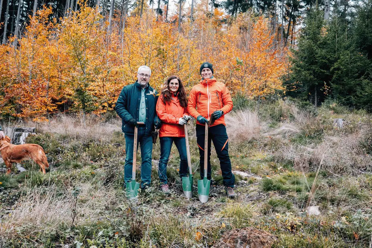 Pflanzaktion im Viechtacher Wald