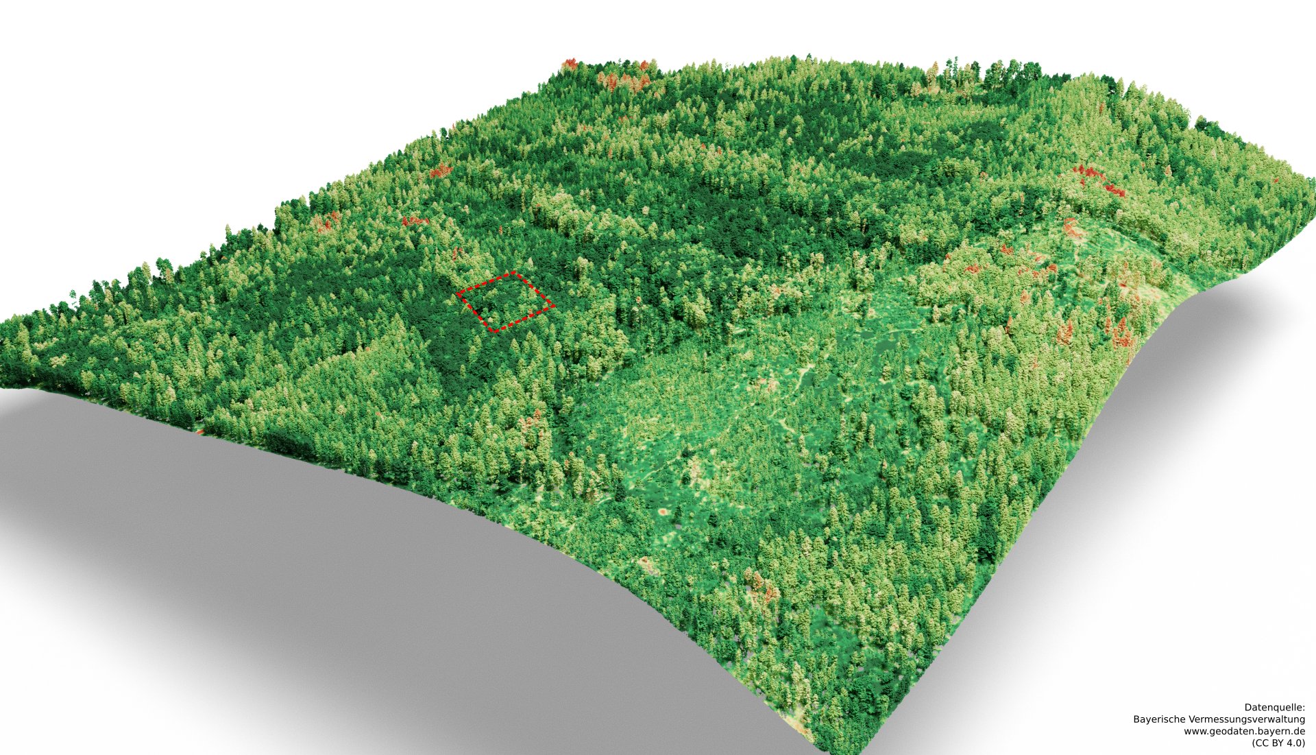 Read more about the article Was in unserem Waldschutzprojekt am Mühlriegel passiert: Hightech trifft Natur